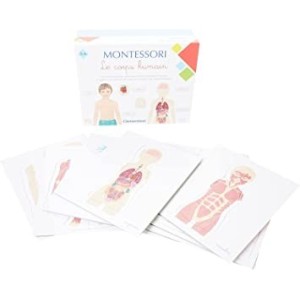 CORP HUMAIN monstissori - Clementoni 52370 2