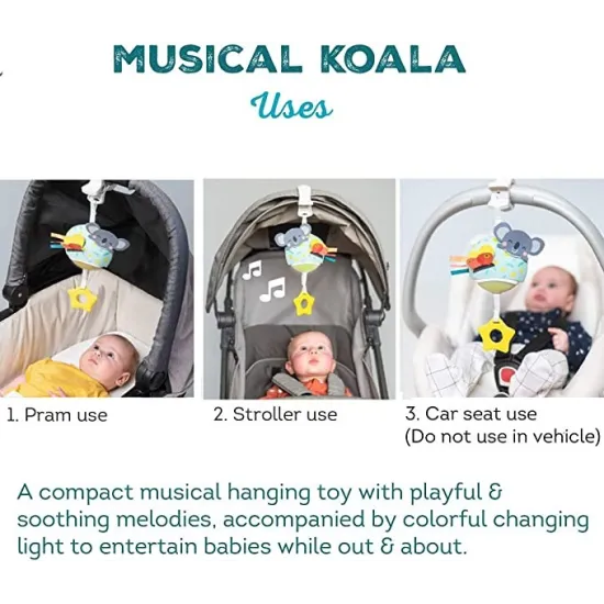 MIUSICAL KOALA -TAF TOYS 12575