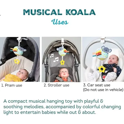 MIUSICAL KOALA -TAF TOYS 12575