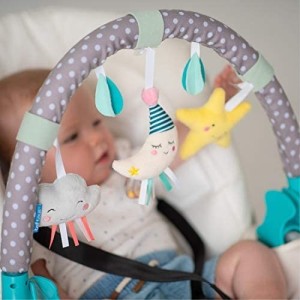Arche Mini Lune - TAF TOYS 12365 2