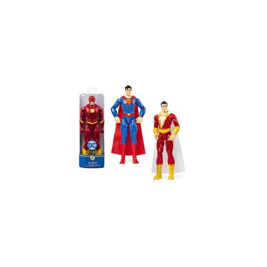 FIGURINE BASIQUE 30CM DC Universe - Spin Master