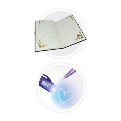 Carnet secret Buki France - NB003