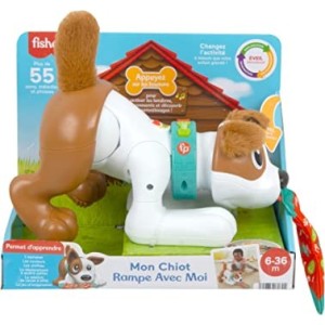 MON CHIOT RAMPE AVEC MOI-FISHER PRICE HGX99