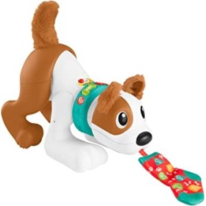 MON CHIOT RAMPE AVEC MOI-FISHER PRICE HGX99 2