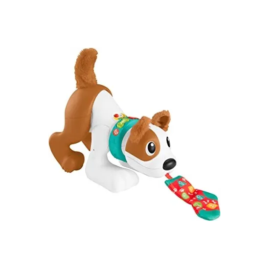 MON CHIOT RAMPE AVEC MOI-FISHER PRICE HGX99