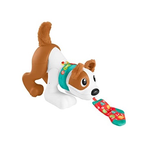 MON CHIOT RAMPE AVEC MOI-FISHER PRICE HGX99