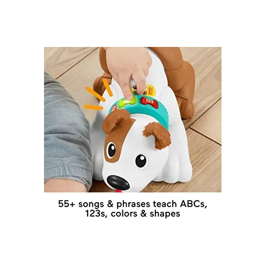 MON CHIOT RAMPE AVEC MOI-FISHER PRICE HGX99