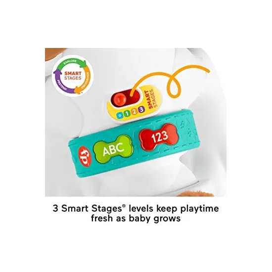 MON CHIOT RAMPE AVEC MOI-FISHER PRICE HGX99