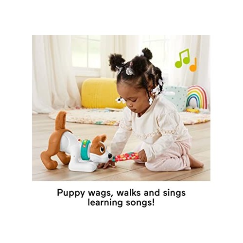 MON CHIOT RAMPE AVEC MOI-FISHER PRICE HGX99