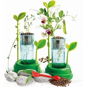 Botanique et Hydroponie- Clementoni 52347 2