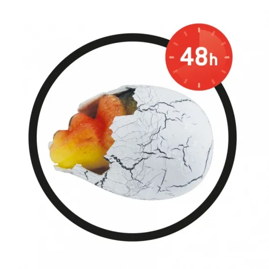 Œuf Magique -BUKI France D6G